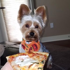 Meet your Posher, AG